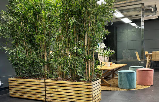 Dehydrated Plant Room Divider | Crimons