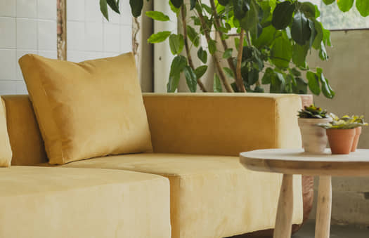 Lotus Velvet Mustard Sofa | Crimons