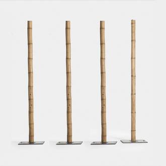 Bamboo Masts | Crimons