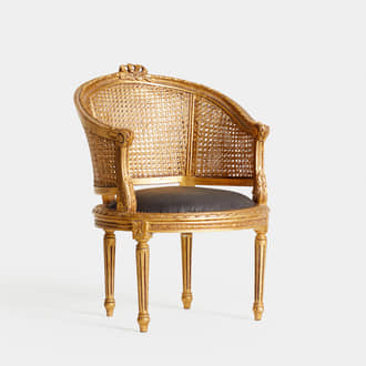 Louis XVI Golden and Brown armchair | Crimons