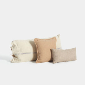 Coxins Sac