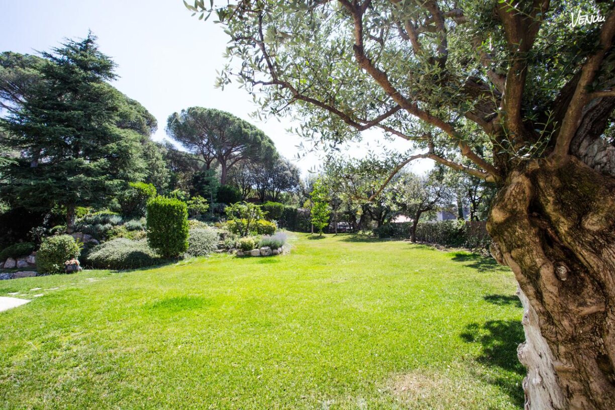 Jardín del Hotel Edelweiss, entorno natural para eventos al aire libre.