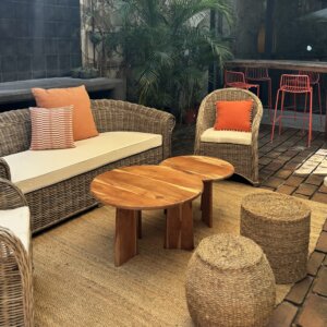 Mesa Baja Madera Mango