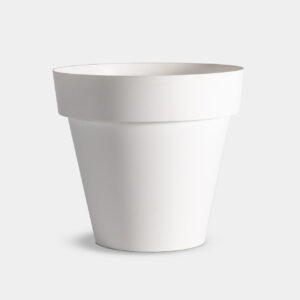 CRIMONSMACETEROBLANCO