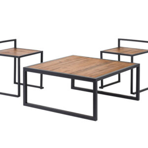 Rustic Low Table