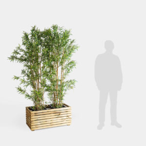 Separador Plantas
