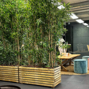 Separador Plantas