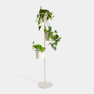 Test Columna Blanc