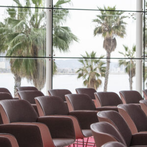 Auditori Biz