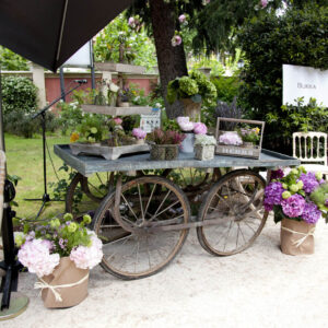 Provencal Trolley