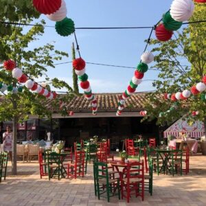 Alquiler de sillas sevillanas verdes