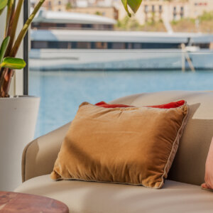 Warm Velvet Cushions