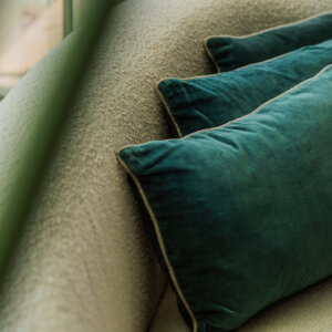 Cold Velvet Cushions