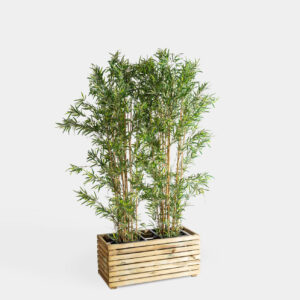 Separador Plantas